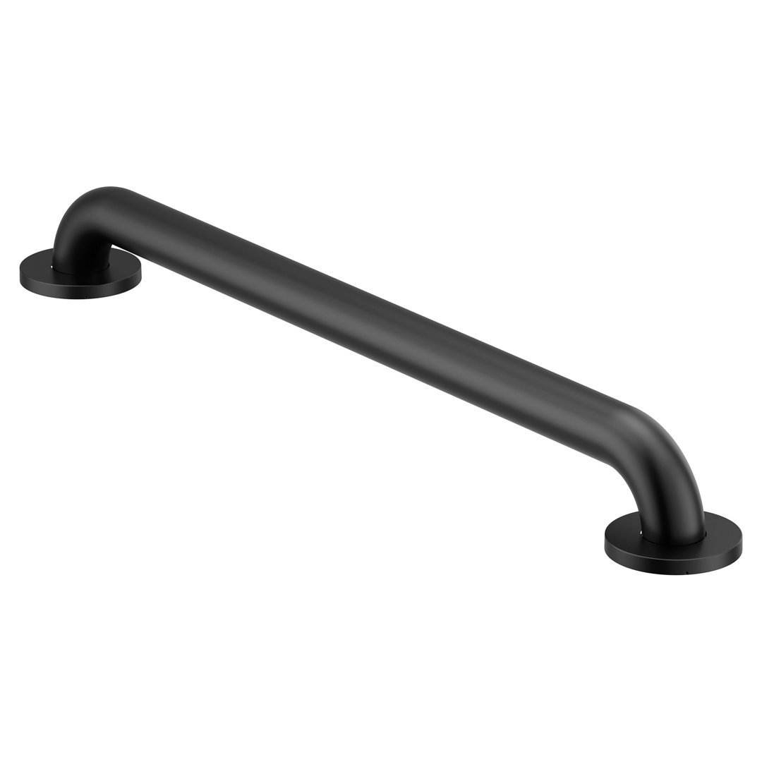 Home Care Concealed Screw Grab Bar Moen 