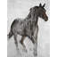 Abstract Brown Horse Print On Canvas