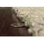 Yetty Rug-1121782489