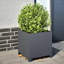 Planter Box-104931244-108202635