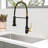 GAWEZA Pull Down Kitchen Faucet