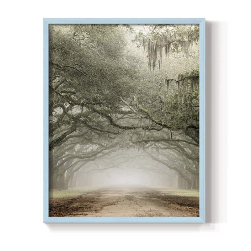 Plantation Drive Framed Print - Solid Wood, Blue, 10" H x 8" W