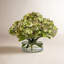 HYDRANGEA IN CYLINDER-1013541710