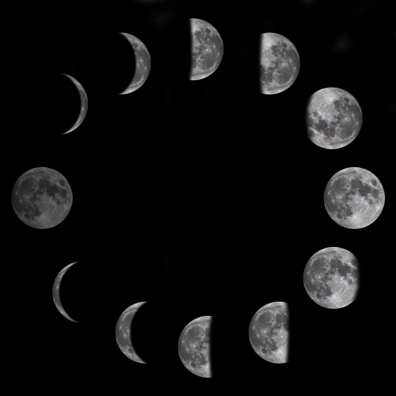 Moon Phases by Bagi1998, 20" H x 20" W
