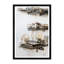 Nautilus Shell And Tools II Print by Tim Klein