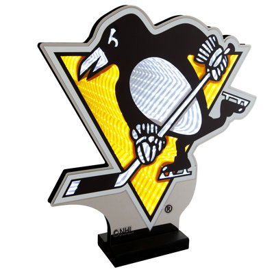 Logo NHL Pittsburgh Penguins Infinity