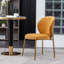 Chaise de salle à manger Amoa-1187351272