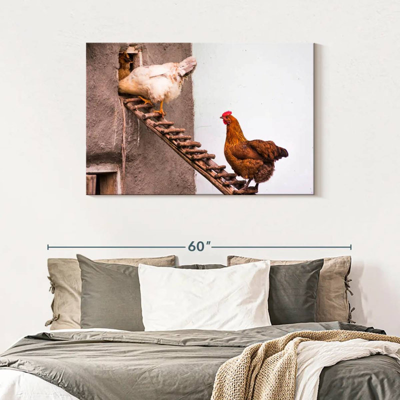 Brampt Chicken Coop, 30" H x 45" W