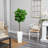Fiddle Leaf Artificial Tree in White Tower Planter-14186363