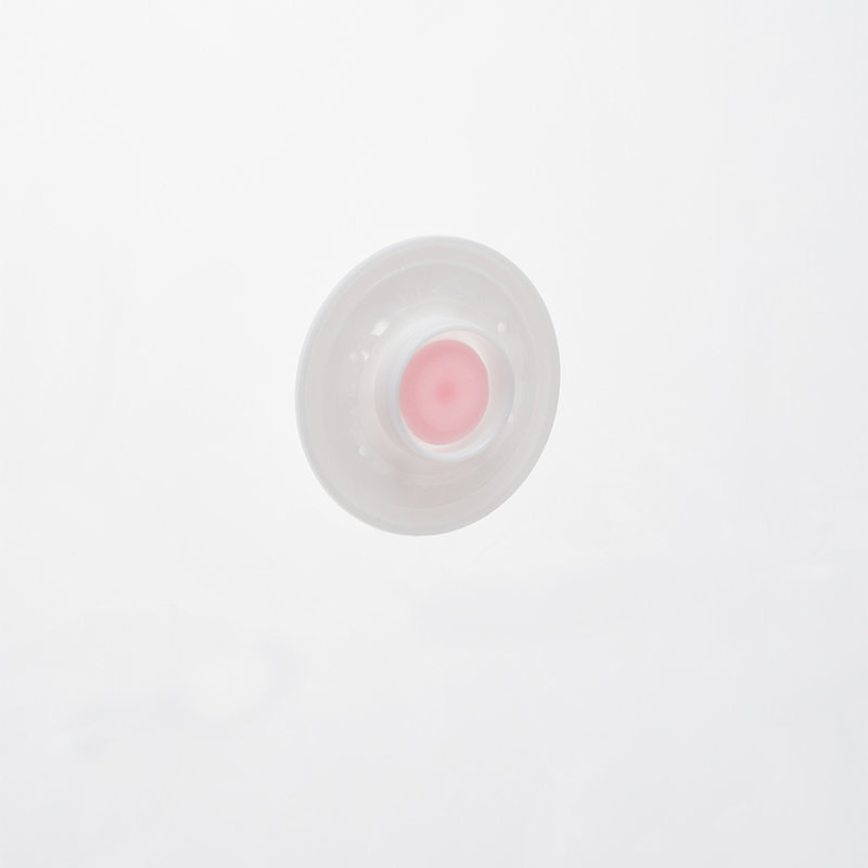 Rebrilliant Elutheria Closet Shelving