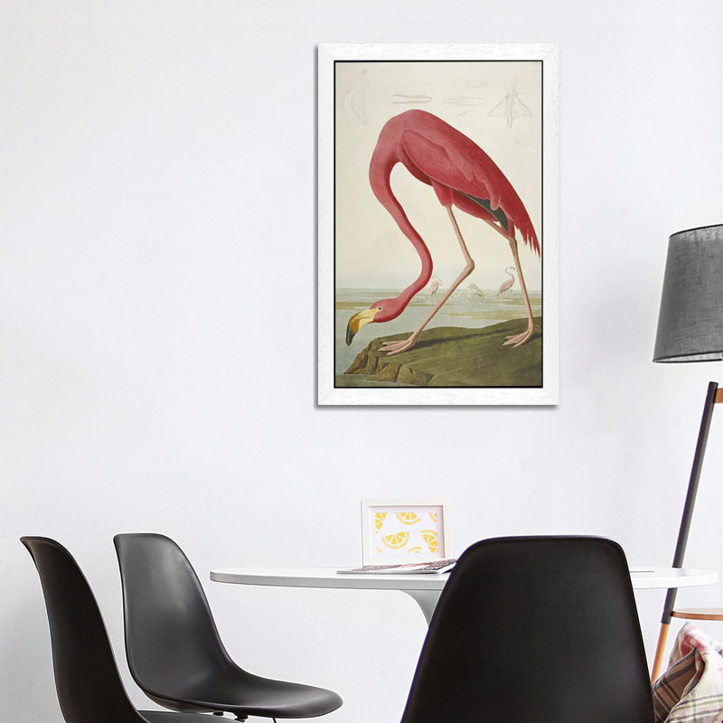American Flamingo by John Audubon - Floater Frame Painting on Canvas, 101.6 cm H x 66.04 cm W, White Framed