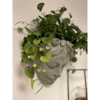 Jardinière Heydy
