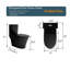 Toilette allongée une pièce à double chasse 1,1 / 1,6 GPF noir mat 1000g, noir mat