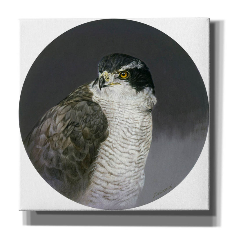 Latitude Run® «Poised» par Joh Naito, art mural sur toile, H 26 po x l 26 po x P 1,5 po