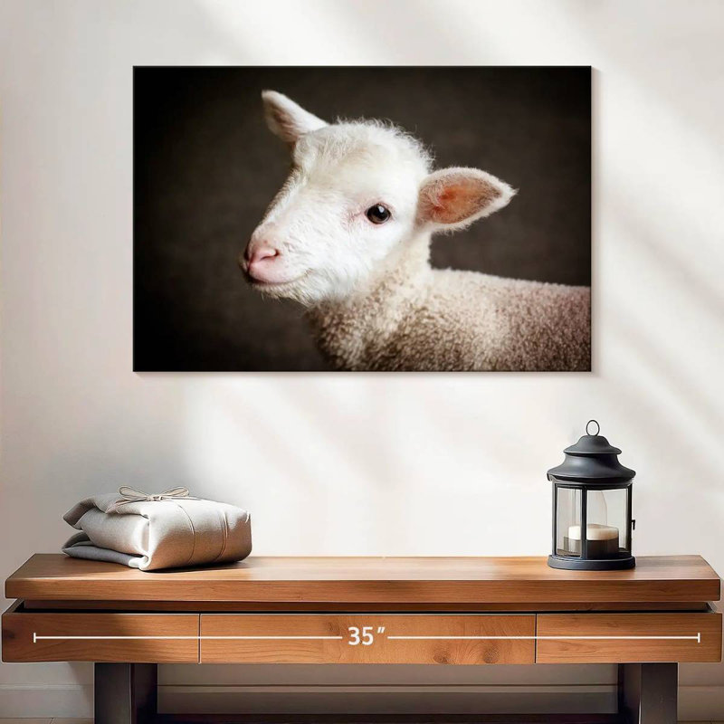 Brampt Baby Sheep, H 16 po x l 24 po