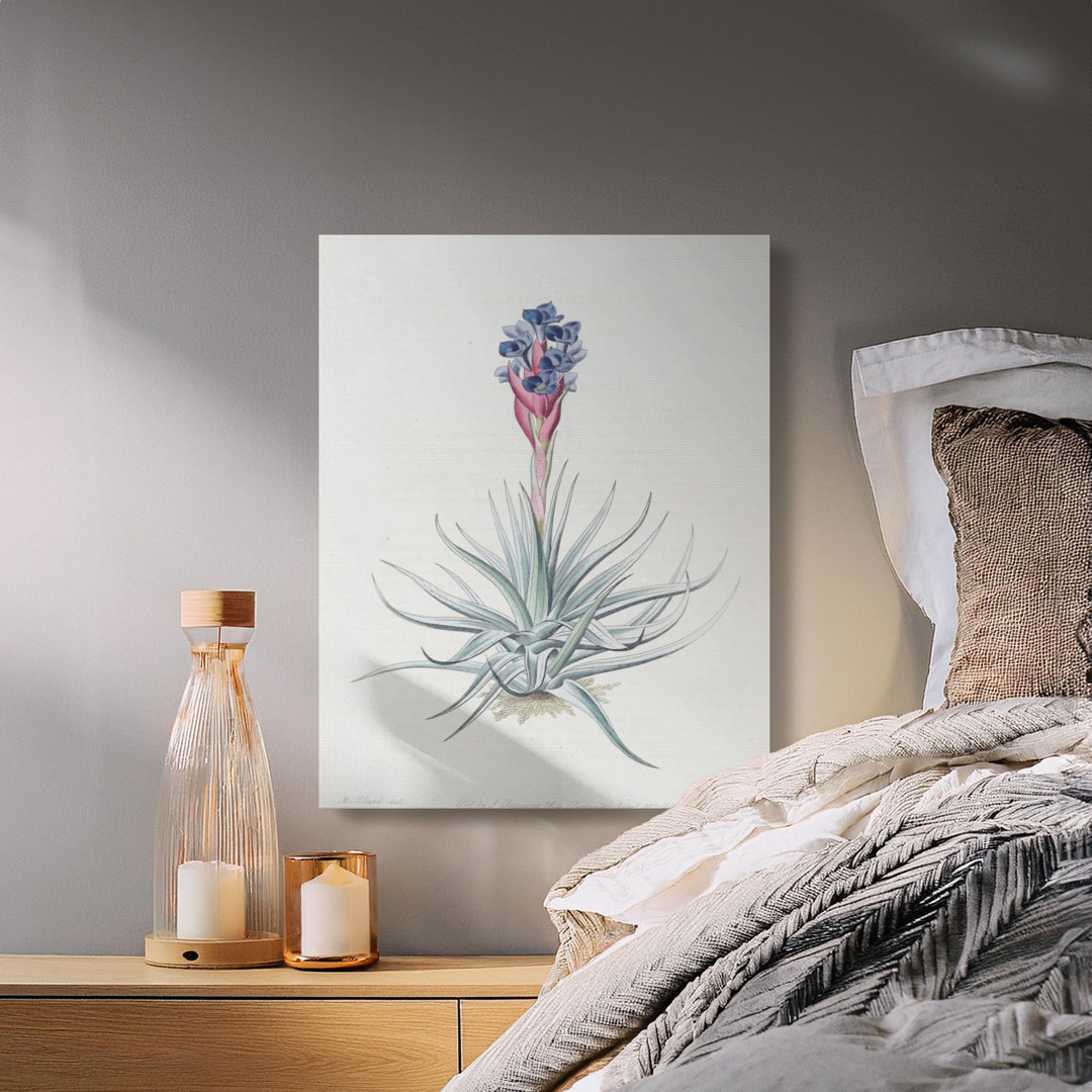 Vintage Botanical Blue Flower Canvas