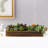 5'' Faux Succulent in Solid Wood Planter