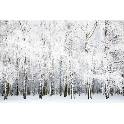 Desousa Russian Winter - Wrapped Canvas Print
