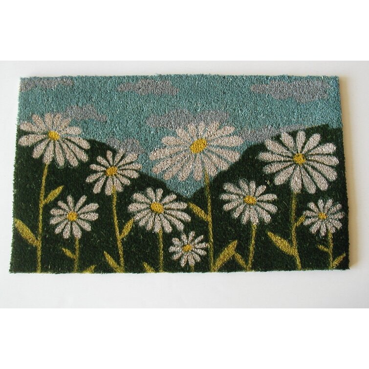 https://assets.wfcdn.com/im/66021972/resize-h755-w755%5Ecompr-r85/1462/14620367/Antonito+Floral+Outdoor+Doormat.jpg