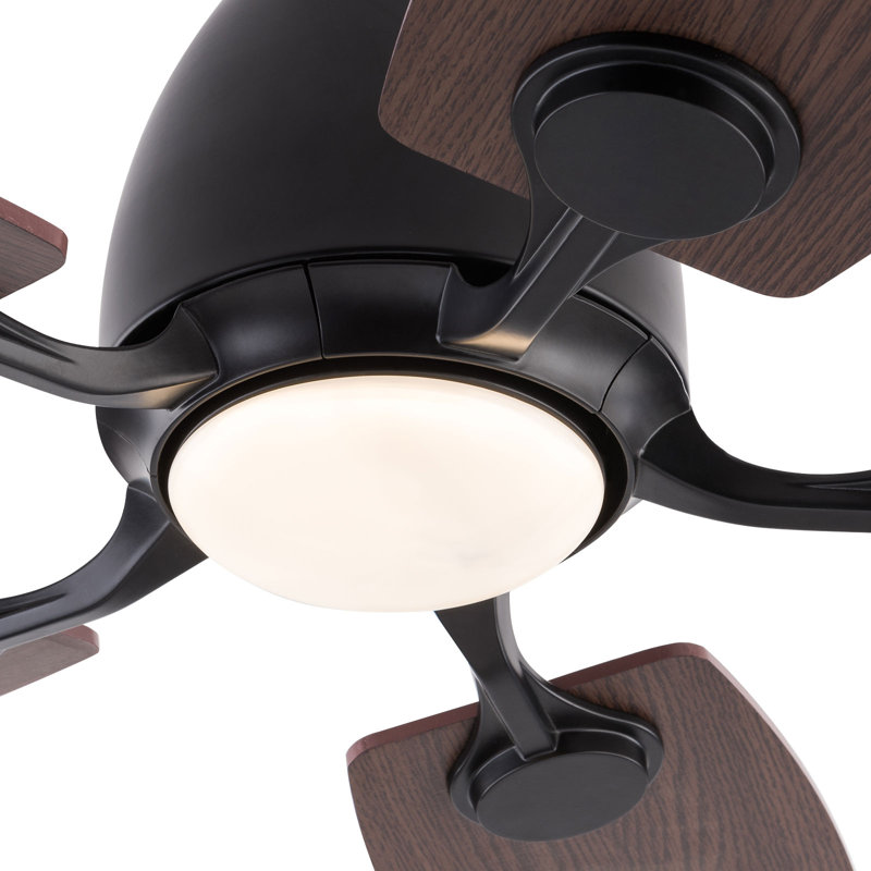Ventilateurs de plafond modernes de 42 po avec lumières DEL et télécommande, Noir