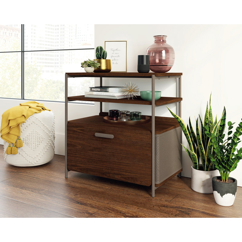 Ohlson Lateral File