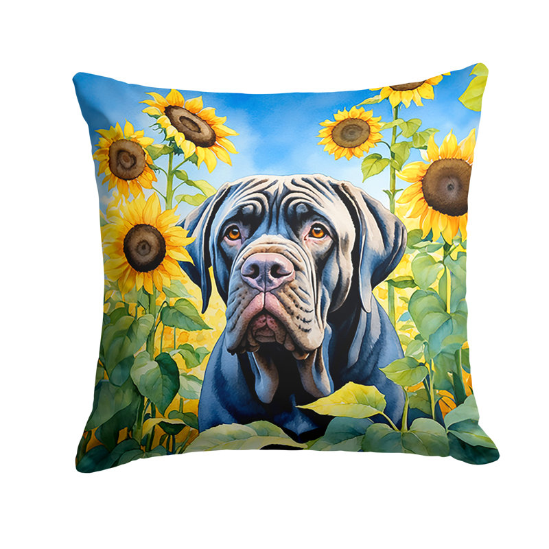 Coussin décoratif intérieur / extérieur Autre / Sans motif, H 18 po x l 18 po