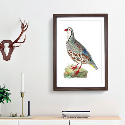 Red Partridge by George Shaw - Framed Print