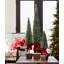 PVC 3 Piece Potted Tree Set