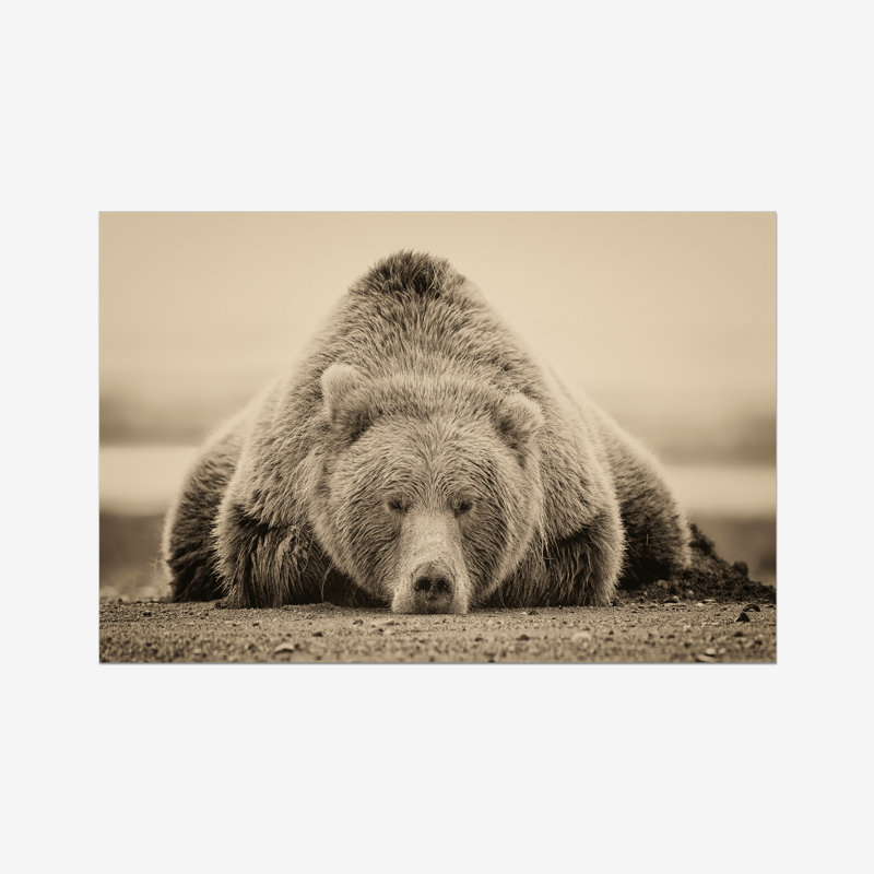 Deep Sleep by PHBurchett - Print, 61cm H x 91cm W, Paper Print