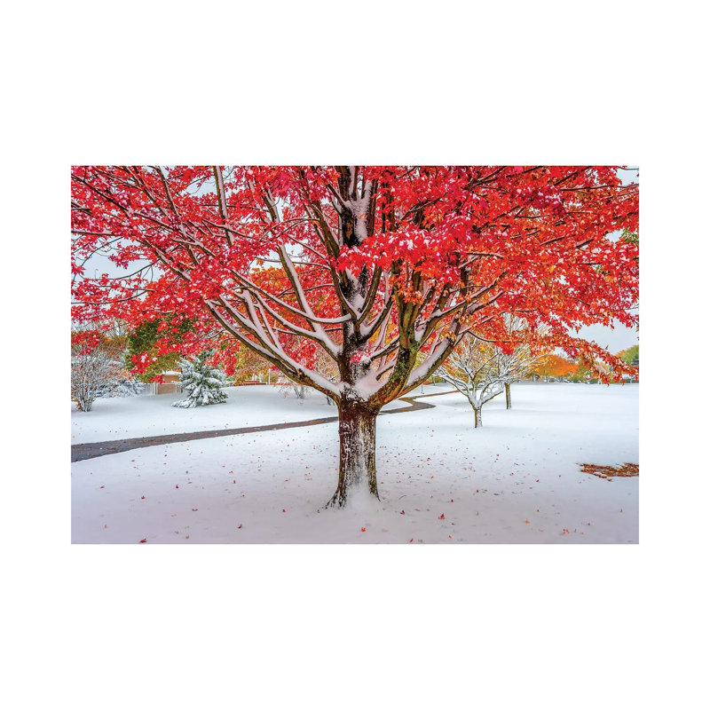Red And White by Nejdet Duzen - Wrapped Canvas Print, 20.32 cm H x 30.48 cm W