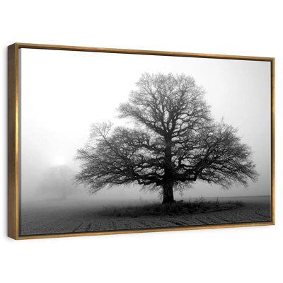 Arbre dans la brume