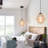 Raylie 1 - Light Shaded Pendant-2104653894