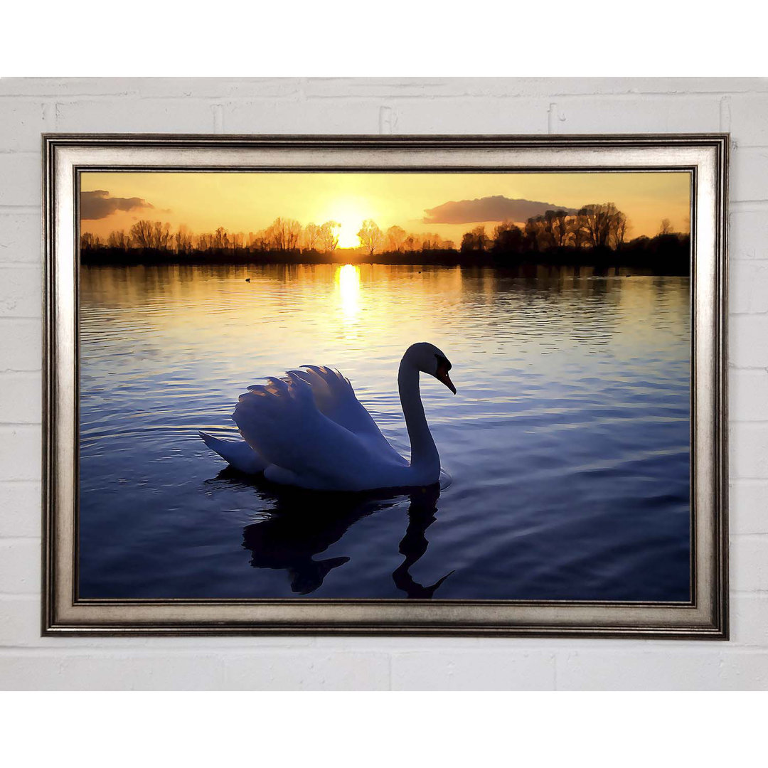 Gerahmtes Bild Lonely Swan