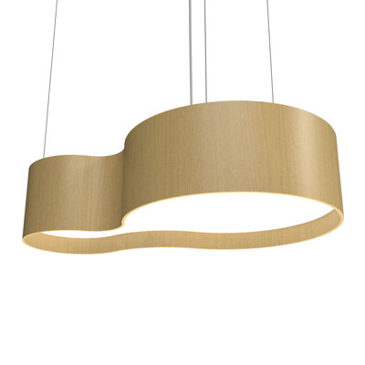 1 - Light LED Unique/Statement Pendant
