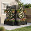 Planter Box-1351856873-1351856876