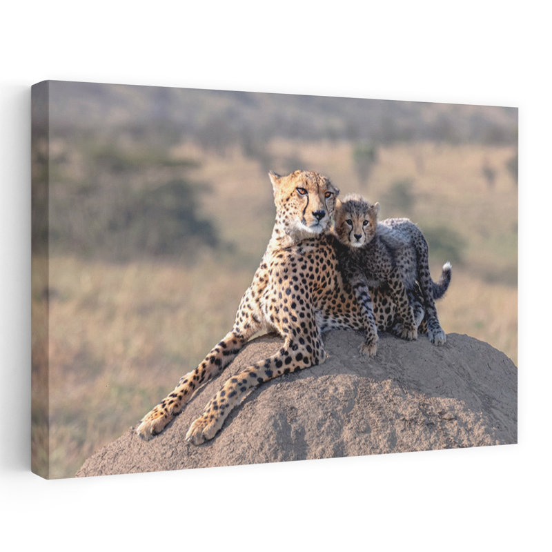 Mother Cheetah And Cub Contemporary Cat Animal Nature Wall Art Print, 101.6cm H x 152.4cm W