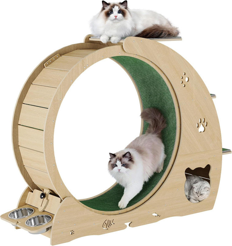 Roues de chat 4 en 1 pour chats d'intérieur, grande roue d'exercice pour chat de 40 pouces, roue de tapis roulant avec piste recouverte de tapis, griffoir