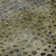 Premium Machine Washable Christina AMF1074 Circles Rug