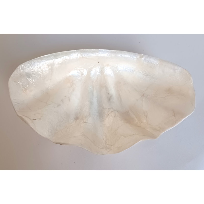 Capiz Shell Dish