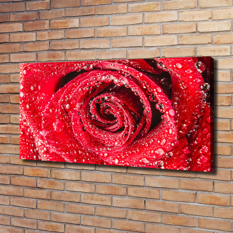 Water Drops On A Rose - Wrapped Canvas Print
