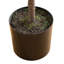 Pin artificiel de style Norfolk avec aspect naturel-444633700