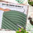 Sairah Metal Raised Garden Bed-143258493-196025442