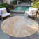  Caseville Area Rug