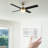Edelbert 52'' Ceiling Fan with LED Lights-1833187486-1833187485