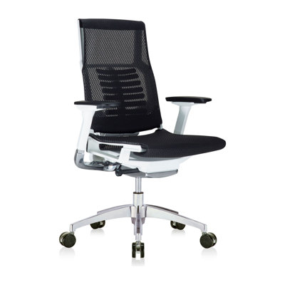 Eurotech Seating Mesh Executive Chair with Headrest