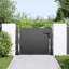 Double Gate with Lock-848727746