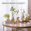 Ensemble de 12 vases Bud-1576442142