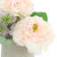 Peonies and Thistle in Fiberstone Pot