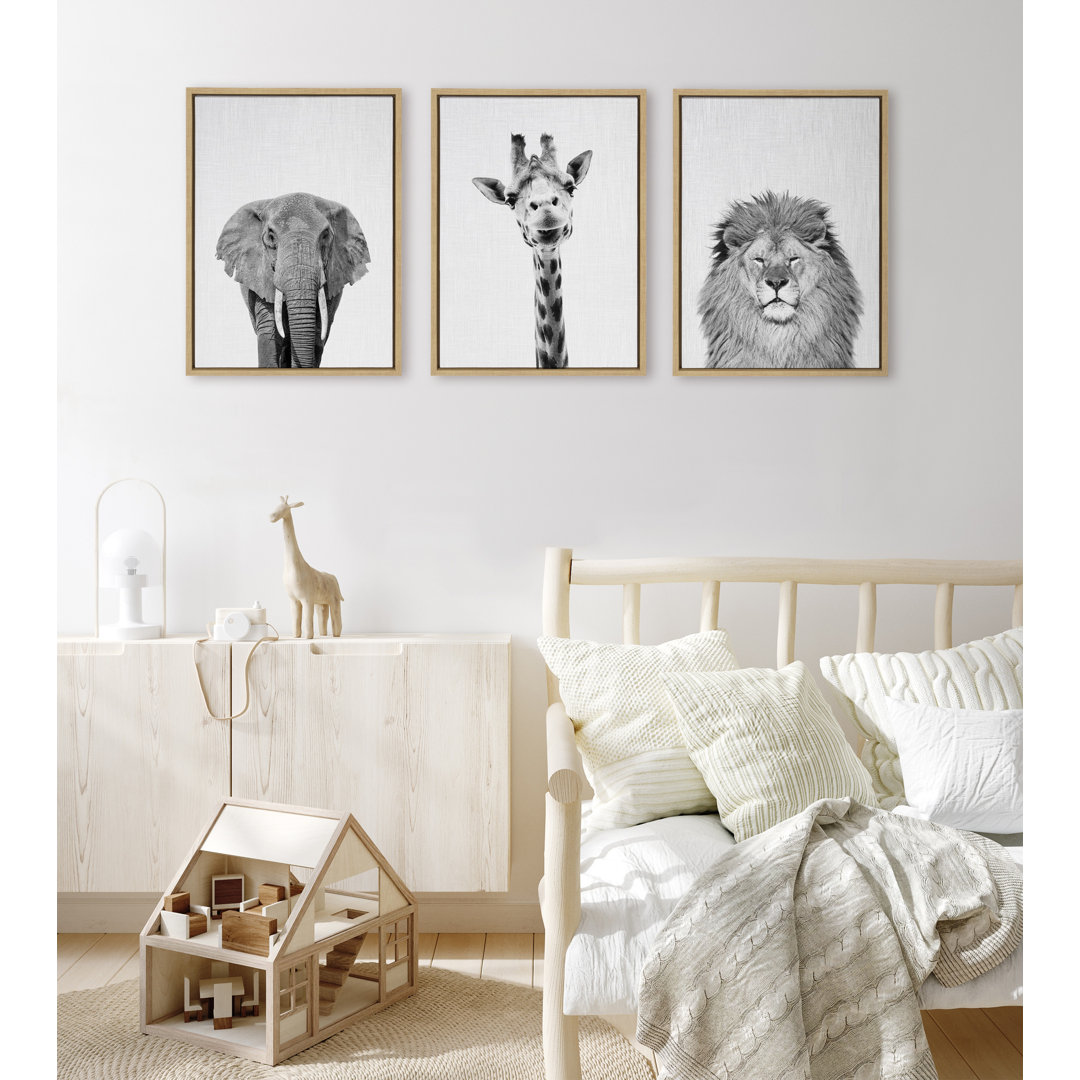 Elephant, Giraffe and Lion by Simon Te of Tai Prints Framed Canvas Wall Art Set Ebern Designs Frame 