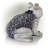 Earnestine Frog Plastic Garden Statue